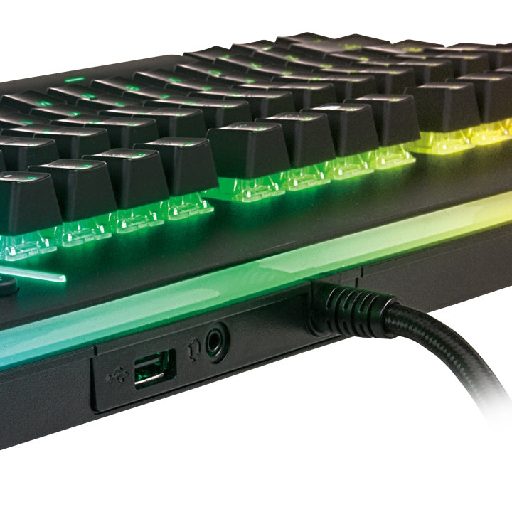 Level 20 RGB Gaming Keyboard Cherry MX Blue